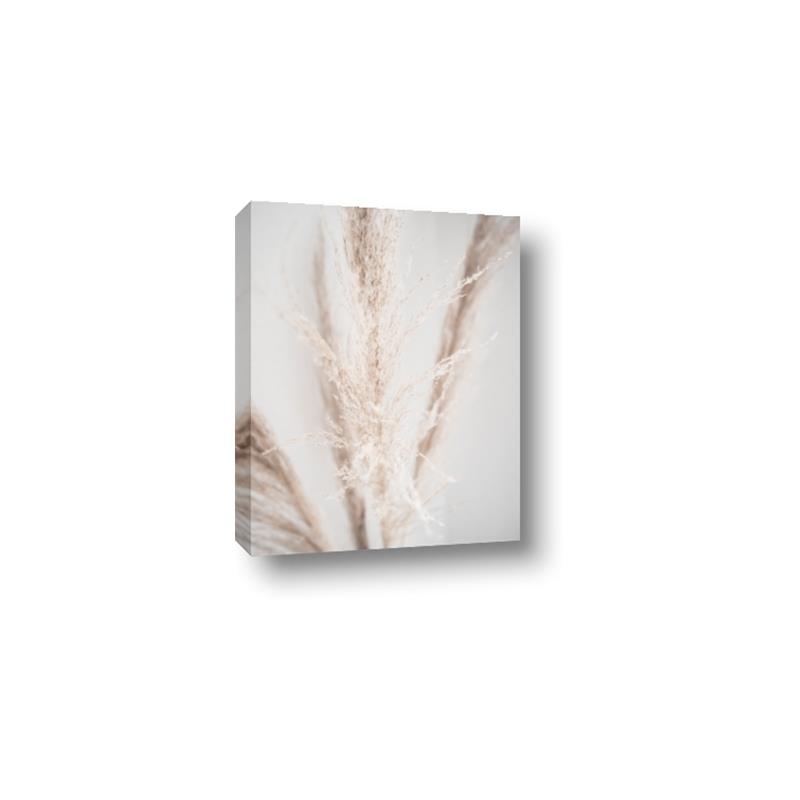 Picture of Whispy Pampas _GroupedProduct_Rectangle_Portrait_Photography _GroupedProduct_Rectangle_Portrait_Canvas_