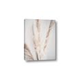 Picture of Whispy Pampas _GroupedProduct_Rectangle_Portrait_Photography _GroupedProduct_Rectangle_Portrait_Canvas_