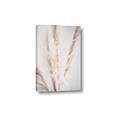 Picture of Whispy Pampas _GroupedProduct_Rectangle_Portrait_Photography _GroupedProduct_Rectangle_Portrait_Canvas_