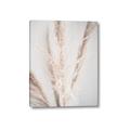 Picture of Whispy Pampas _GroupedProduct_Rectangle_Portrait_Photography _GroupedProduct_Rectangle_Portrait_Canvas_