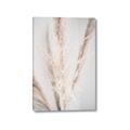 Picture of Whispy Pampas _GroupedProduct_Rectangle_Portrait_Photography _GroupedProduct_Rectangle_Portrait_Canvas_