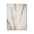 Picture of Whispy Pampas _GroupedProduct_Rectangle_Portrait_Photography _GroupedProduct_Rectangle_Portrait_Canvas_
