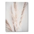 Picture of Whispy Pampas _GroupedProduct_Rectangle_Portrait_Photography _GroupedProduct_Rectangle_Portrait_Canvas_
