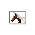 Picture of Spotted Horse _GroupedProduct_Rectangle_Landscape_Photography _GroupedProduct_Rectangle_Landscape_Canvas_Framed_