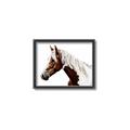 Picture of Spotted Horse _GroupedProduct_Rectangle_Landscape_Photography _GroupedProduct_Rectangle_Landscape_Canvas_Framed_