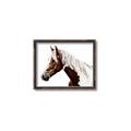 Picture of Spotted Horse _GroupedProduct_Rectangle_Landscape_Photography _GroupedProduct_Rectangle_Landscape_Canvas_Framed_