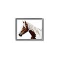Picture of Spotted Horse _GroupedProduct_Rectangle_Landscape_Photography _GroupedProduct_Rectangle_Landscape_Canvas_Framed_