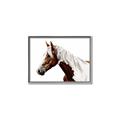 Picture of Spotted Horse _GroupedProduct_Rectangle_Landscape_Photography _GroupedProduct_Rectangle_Landscape_Canvas_Framed_