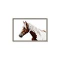 Picture of Spotted Horse _GroupedProduct_Rectangle_Landscape_Photography _GroupedProduct_Rectangle_Landscape_Canvas_Framed_