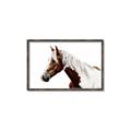 Picture of Spotted Horse _GroupedProduct_Rectangle_Landscape_Photography _GroupedProduct_Rectangle_Landscape_Canvas_Framed_