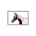 Picture of Spotted Horse _GroupedProduct_Rectangle_Landscape_Photography _GroupedProduct_Rectangle_Landscape_Canvas_Framed_