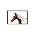 Picture of Spotted Horse _GroupedProduct_Rectangle_Landscape_Photography _GroupedProduct_Rectangle_Landscape_Canvas_Framed_