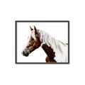 Picture of Spotted Horse _GroupedProduct_Rectangle_Landscape_Photography _GroupedProduct_Rectangle_Landscape_Canvas_Framed_