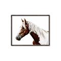 Picture of Spotted Horse _GroupedProduct_Rectangle_Landscape_Photography _GroupedProduct_Rectangle_Landscape_Canvas_Framed_