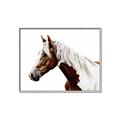 Picture of Spotted Horse _GroupedProduct_Rectangle_Landscape_Photography _GroupedProduct_Rectangle_Landscape_Canvas_Framed_