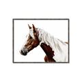Picture of Spotted Horse _GroupedProduct_Rectangle_Landscape_Photography _GroupedProduct_Rectangle_Landscape_Canvas_Framed_