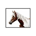 Picture of Spotted Horse _GroupedProduct_Rectangle_Landscape_Photography _GroupedProduct_Rectangle_Landscape_Canvas_Framed_