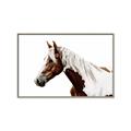 Picture of Spotted Horse _GroupedProduct_Rectangle_Landscape_Photography _GroupedProduct_Rectangle_Landscape_Canvas_Framed_