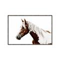 Picture of Spotted Horse _GroupedProduct_Rectangle_Landscape_Photography _GroupedProduct_Rectangle_Landscape_Canvas_Framed_