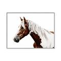 Picture of Spotted Horse _GroupedProduct_Rectangle_Landscape_Photography _GroupedProduct_Rectangle_Landscape_Canvas_Framed_