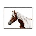Picture of Spotted Horse _GroupedProduct_Rectangle_Landscape_Photography _GroupedProduct_Rectangle_Landscape_Canvas_Framed_