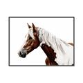 Picture of Spotted Horse _GroupedProduct_Rectangle_Landscape_Photography _GroupedProduct_Rectangle_Landscape_Canvas_Framed_