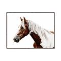 Picture of Spotted Horse _GroupedProduct_Rectangle_Landscape_Photography _GroupedProduct_Rectangle_Landscape_Canvas_Framed_