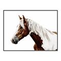 Picture of Spotted Horse _GroupedProduct_Rectangle_Landscape_Photography _GroupedProduct_Rectangle_Landscape_Canvas_Framed_
