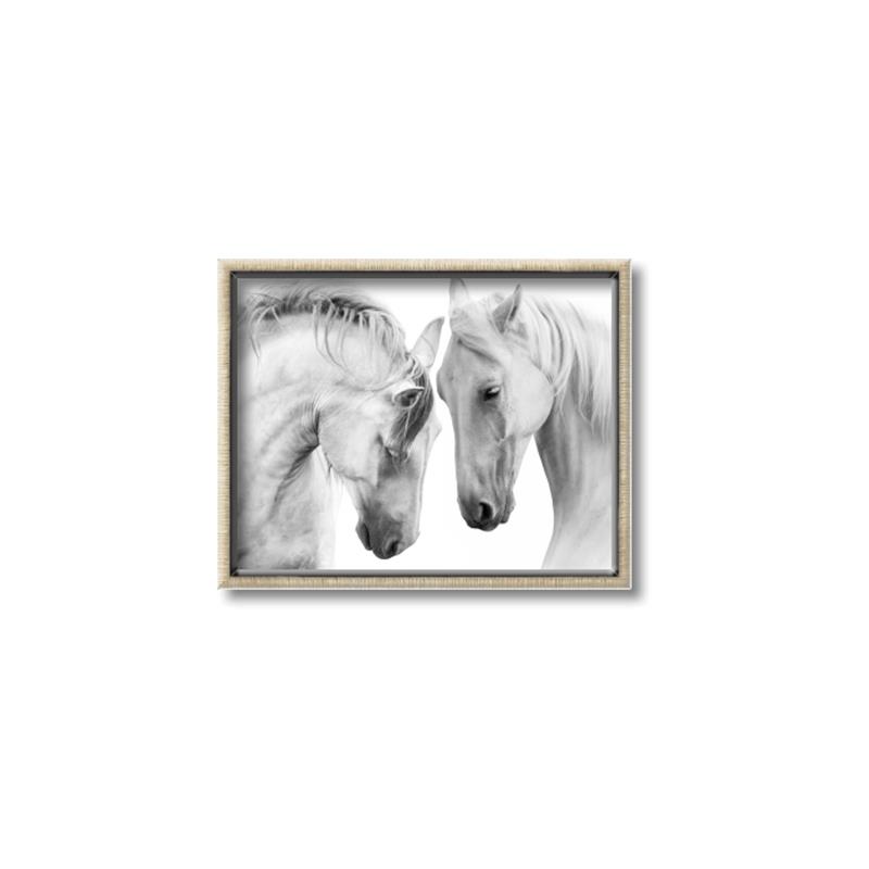 Picture of Face Off Horses _GroupedProduct_Rectangle_Landscape_Photography _GroupedProduct_Rectangle_Landscape_Canvas_Framed_