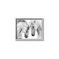 Picture of Face Off Horses _GroupedProduct_Rectangle_Landscape_Photography _GroupedProduct_Rectangle_Landscape_Canvas_Framed_
