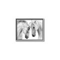 Picture of Face Off Horses _GroupedProduct_Rectangle_Landscape_Photography _GroupedProduct_Rectangle_Landscape_Canvas_Framed_