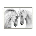 Picture of Face Off Horses _GroupedProduct_Rectangle_Landscape_Photography _GroupedProduct_Rectangle_Landscape_Canvas_Framed_