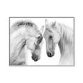 Picture of Face Off Horses _GroupedProduct_Rectangle_Landscape_Photography _GroupedProduct_Rectangle_Landscape_Canvas_Framed_