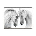 Picture of Face Off Horses _GroupedProduct_Rectangle_Landscape_Photography _GroupedProduct_Rectangle_Landscape_Canvas_Framed_