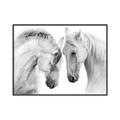 Picture of Face Off Horses _GroupedProduct_Rectangle_Landscape_Photography _GroupedProduct_Rectangle_Landscape_Canvas_Framed_