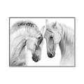 Picture of Face Off Horses _GroupedProduct_Rectangle_Landscape_Photography _GroupedProduct_Rectangle_Landscape_Canvas_Framed_