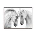 Picture of Face Off Horses _GroupedProduct_Rectangle_Landscape_Photography _GroupedProduct_Rectangle_Landscape_Canvas_Framed_