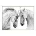 Picture of Face Off Horses _GroupedProduct_Rectangle_Landscape_Photography _GroupedProduct_Rectangle_Landscape_Canvas_Framed_