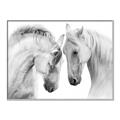 Picture of Face Off Horses _GroupedProduct_Rectangle_Landscape_Photography _GroupedProduct_Rectangle_Landscape_Canvas_Framed_
