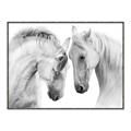 Picture of Face Off Horses _GroupedProduct_Rectangle_Landscape_Photography _GroupedProduct_Rectangle_Landscape_Canvas_Framed_