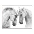 Picture of Face Off Horses _GroupedProduct_Rectangle_Landscape_Photography _GroupedProduct_Rectangle_Landscape_Canvas_Framed_