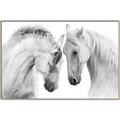 Picture of Face Off Horses _GroupedProduct_Rectangle_Landscape_Photography _GroupedProduct_Rectangle_Landscape_Canvas_Framed_
