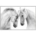 Picture of Face Off Horses _GroupedProduct_Rectangle_Landscape_Photography _GroupedProduct_Rectangle_Landscape_Canvas_Framed_