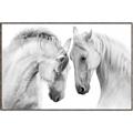 Picture of Face Off Horses _GroupedProduct_Rectangle_Landscape_Photography _GroupedProduct_Rectangle_Landscape_Canvas_Framed_