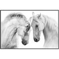 Picture of Face Off Horses _GroupedProduct_Rectangle_Landscape_Photography _GroupedProduct_Rectangle_Landscape_Canvas_Framed_