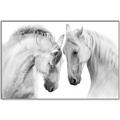 Picture of Face Off Horses _GroupedProduct_Rectangle_Landscape_Photography _GroupedProduct_Rectangle_Landscape_Canvas_Framed_
