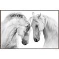 Picture of Face Off Horses _GroupedProduct_Rectangle_Landscape_Photography _GroupedProduct_Rectangle_Landscape_Canvas_Framed_