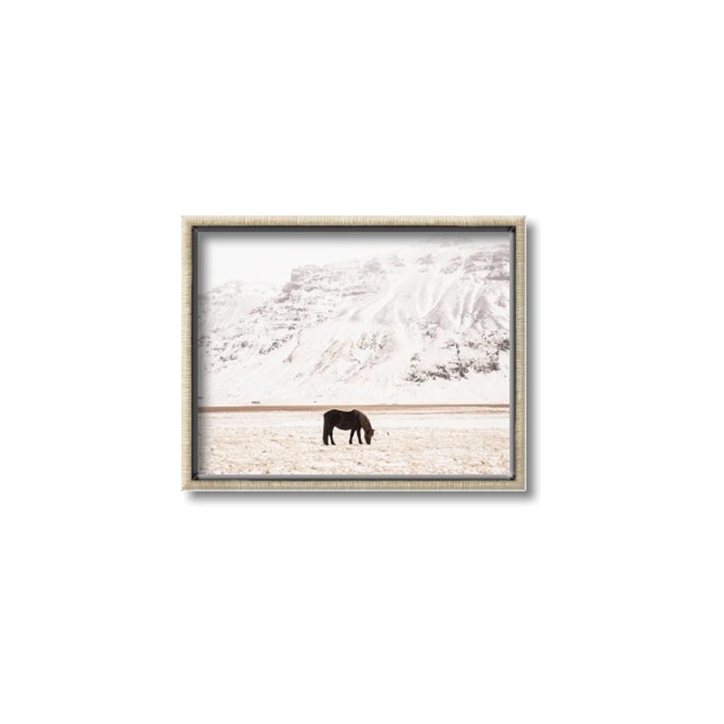 Picture of Horse in Field  _GroupedProduct_Rectangle_Landscape_Photography _GroupedProduct_Rectangle_Landscape_Canvas_Framed_