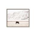 Picture of Horse in Field  _GroupedProduct_Rectangle_Landscape_Photography _GroupedProduct_Rectangle_Landscape_Canvas_Framed_