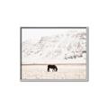 Picture of Horse in Field  _GroupedProduct_Rectangle_Landscape_Photography _GroupedProduct_Rectangle_Landscape_Canvas_Framed_